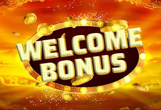 Mirax new player bonus